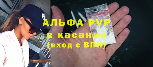 сатива Белоозёрский