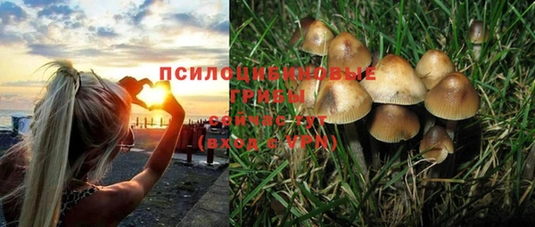 spice Белокуриха