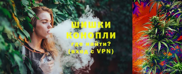 spice Белокуриха