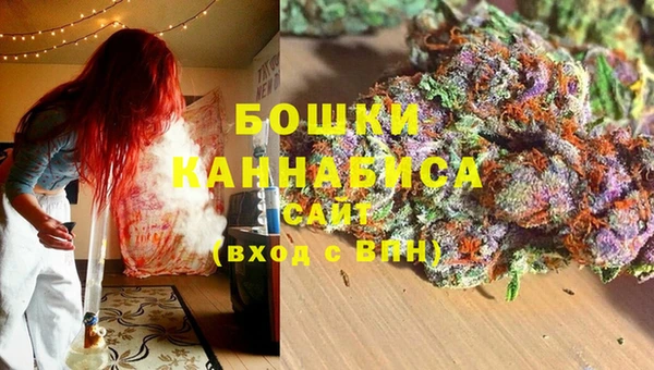 spice Белокуриха
