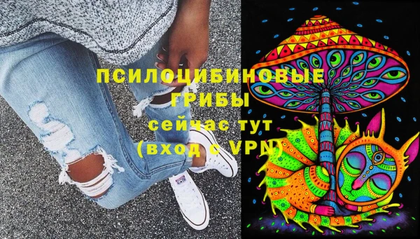сатива Белоозёрский