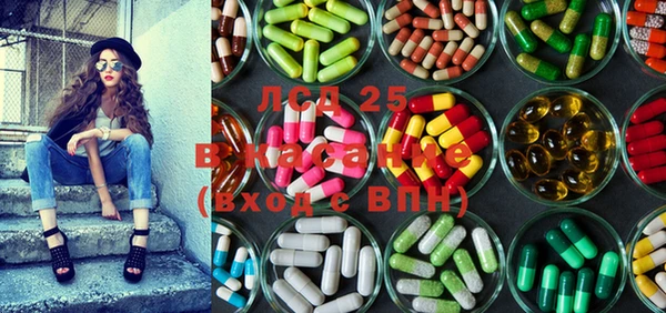 spice Белокуриха