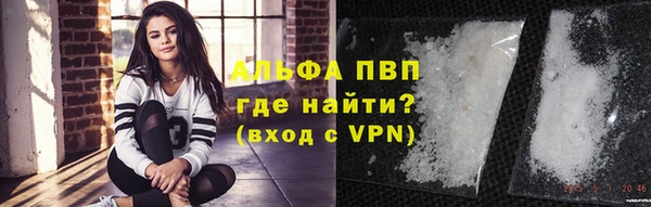 сатива Белоозёрский