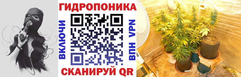 Шишки марихуана Bruce Banner  блэк спрут рабочий сайт  Полесск  что такое наркотик 